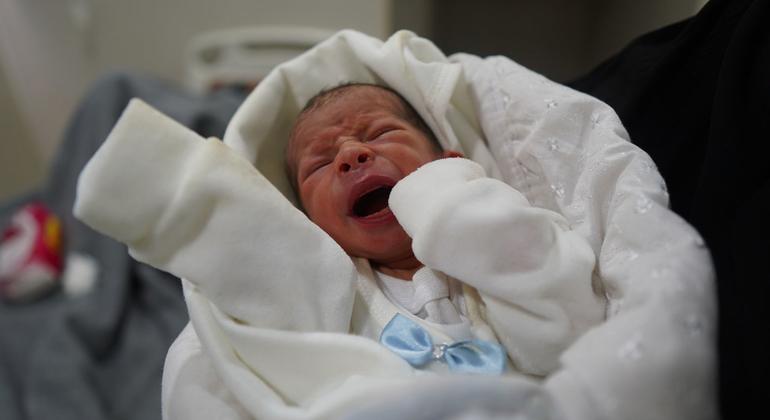 Gaza's babies ‘scarred by war before first breath’ by malnutrition