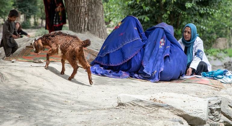 World News in Brief: Landmark disease and mental health declaration, Afghan hunger deepens, DR Congo refugee crisis