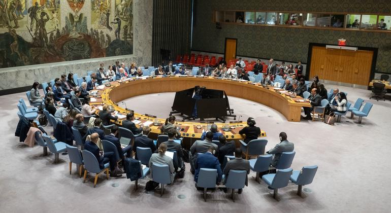 LIVE: Security Council meets on Somalia, Iran