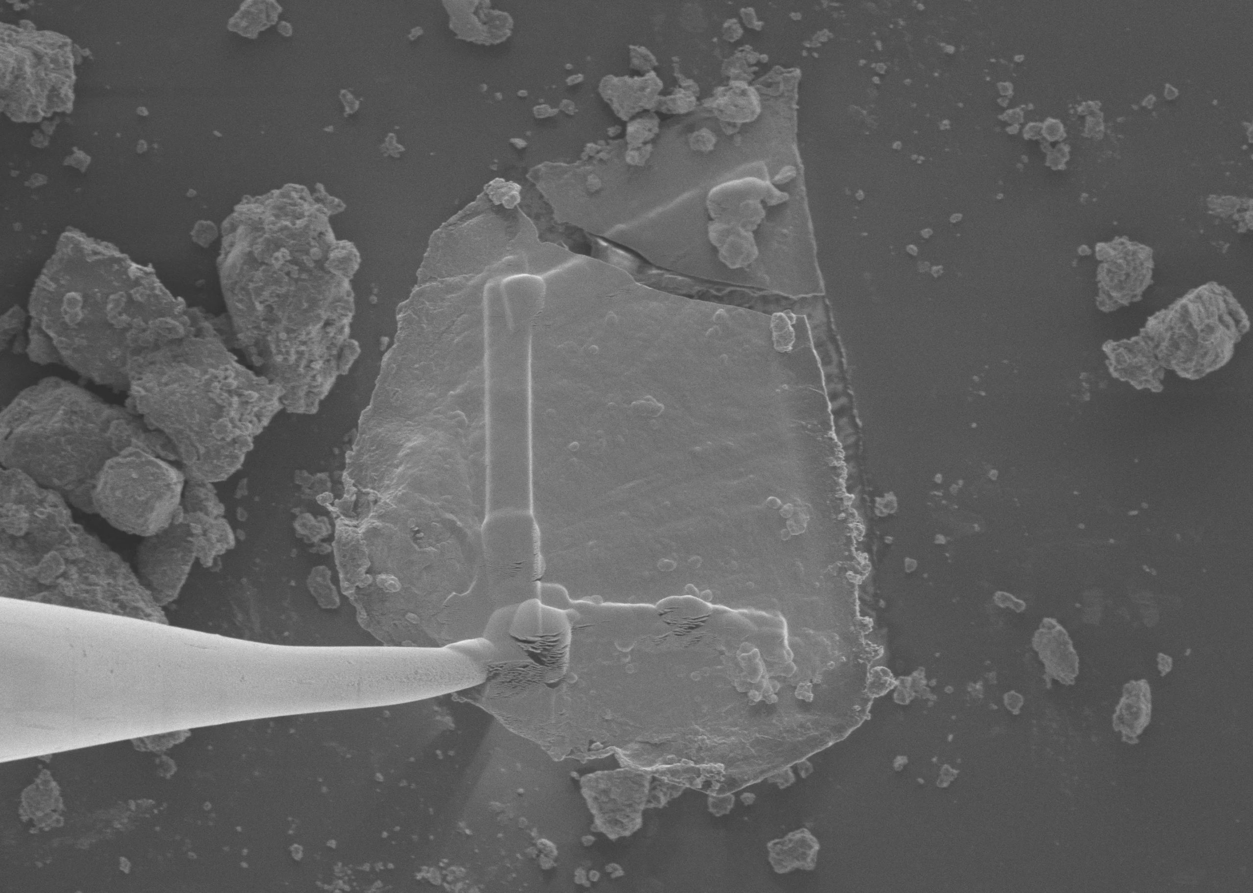 2025 in Review: Highlights from NASA in Silicon Valley 