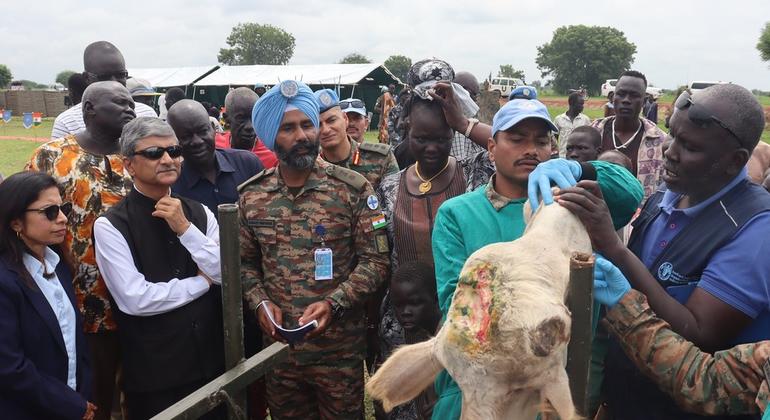 South Sudan: UN and rights experts warn against risk of mass violence in Jonglei