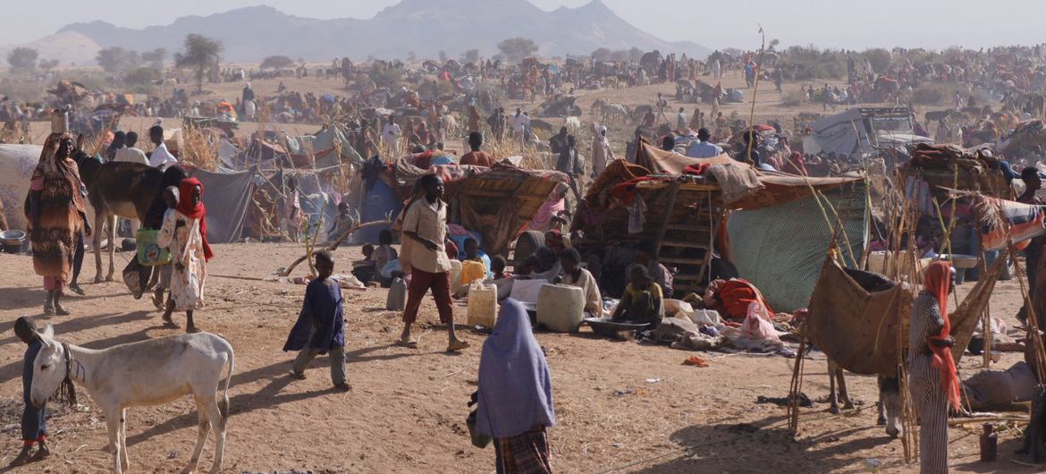 In Darfur, thousands of people have fled fighting to seek refuge in Tawila.
