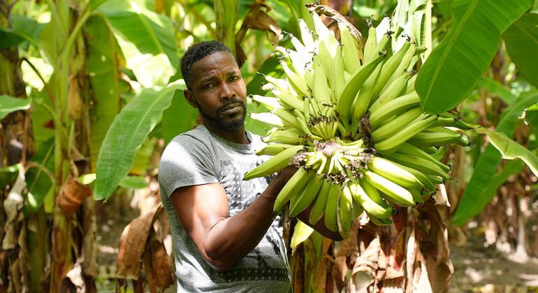 Shockwaves of Middle East war reach Caribbean as food prices soar