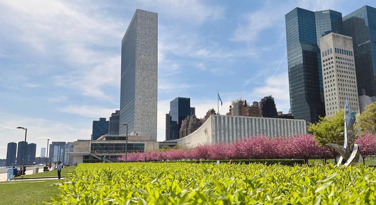 Secretary-General hopefuls make their case in televised ‘interactive dialogues’