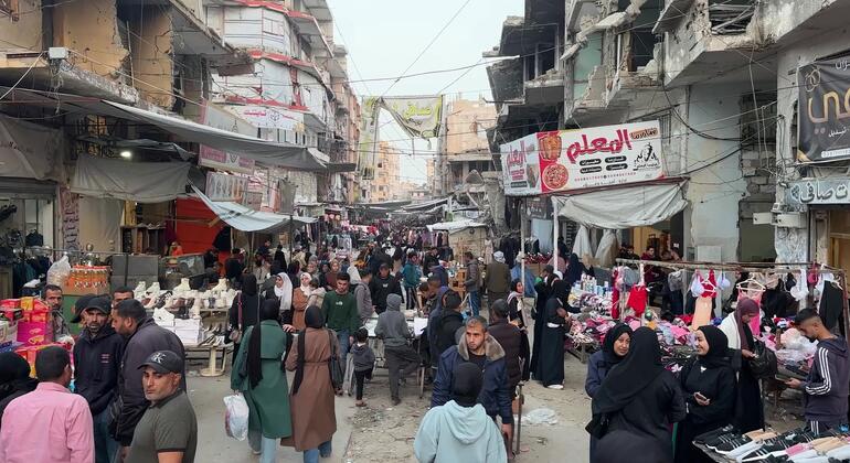 Economic collapse pushes highly educated Gazans into the ‘survival economy’