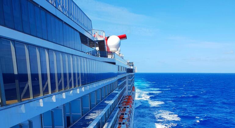 Three dead in suspected hantavirus infection outbreak on cruise ship: WHO