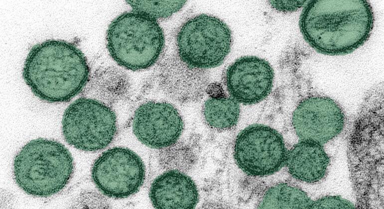 Hantavirus outbreak: Another passenger contracts disease