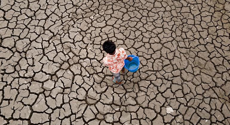 Global temperatures set to stay near record levels: UN weather agency
