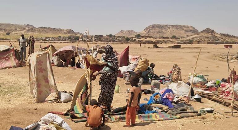 Sudan: Security Council warns of mass atrocity risk in El Obeid